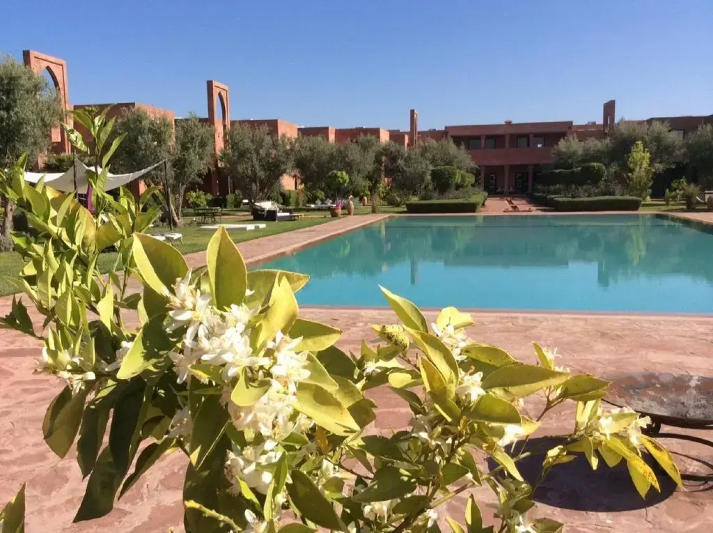 Les Jardins De Zyriab