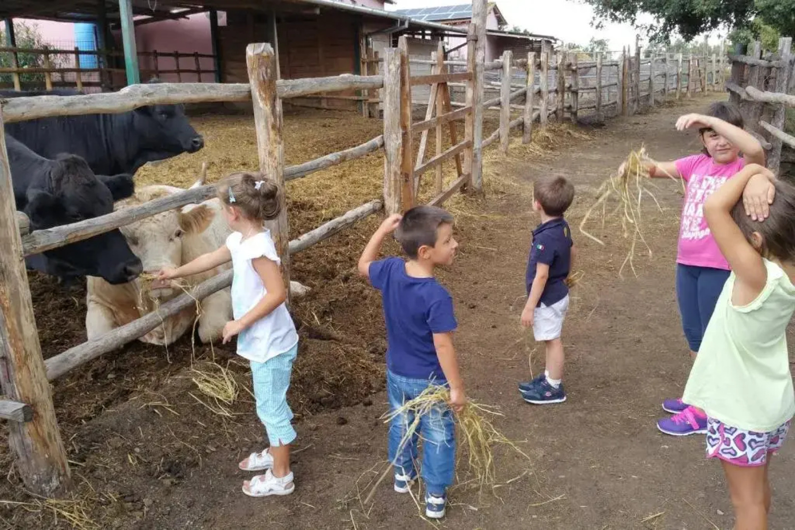 piccolo casale a "le Moline" in una vera fattoria