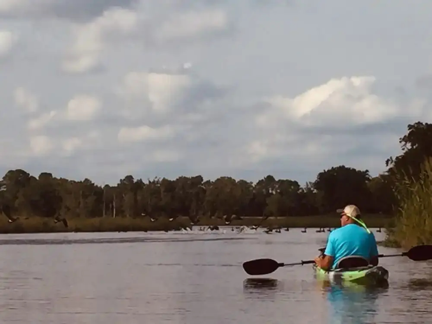 The Whitehaven Hotel