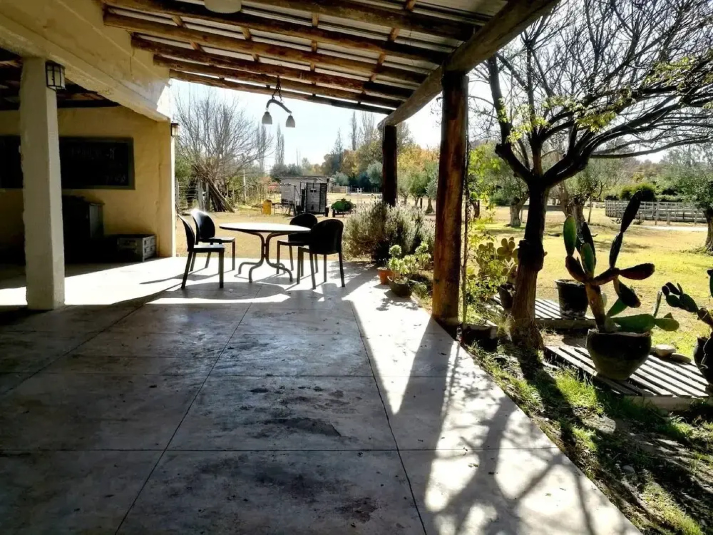 Mountain View Mendoza