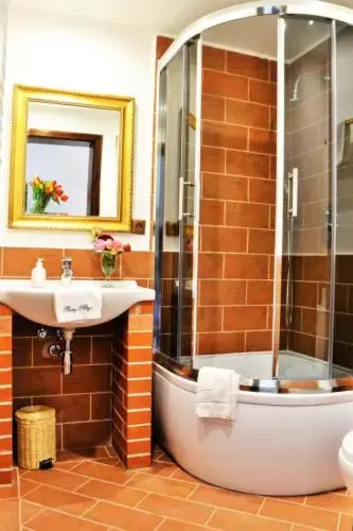 Stary Młyn w Brzeźnicy