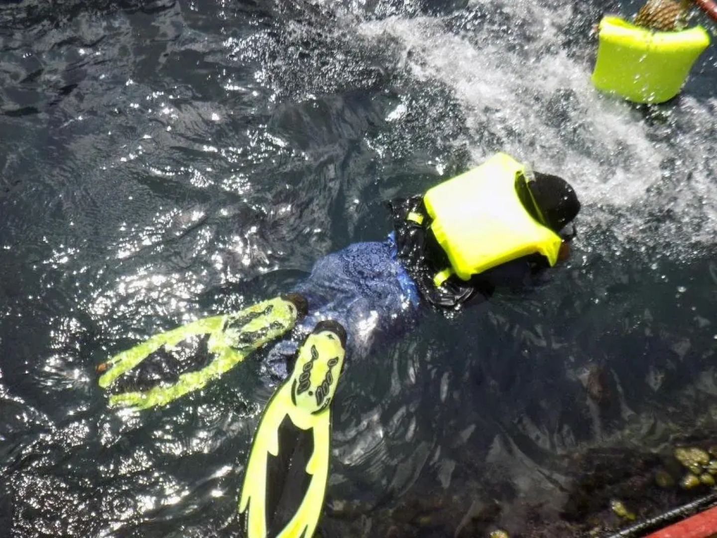 Terapung Hotel & Fish Garden