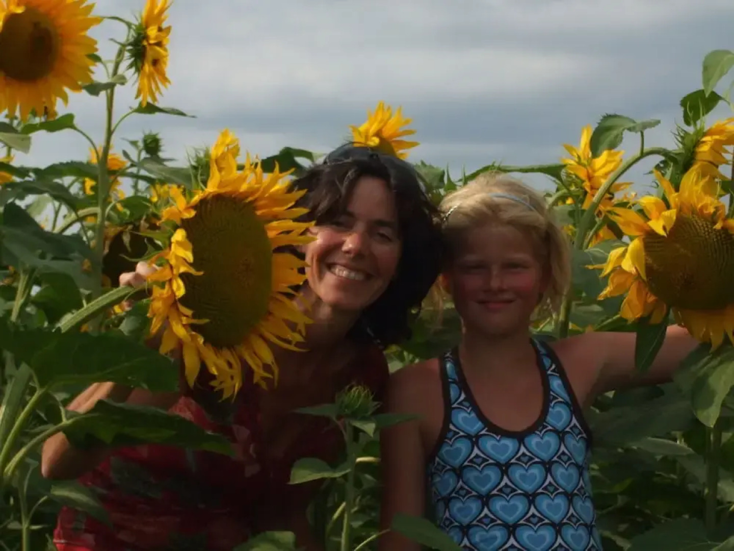 Peaceful Cottage with Swimming Pool in Fayssac France
