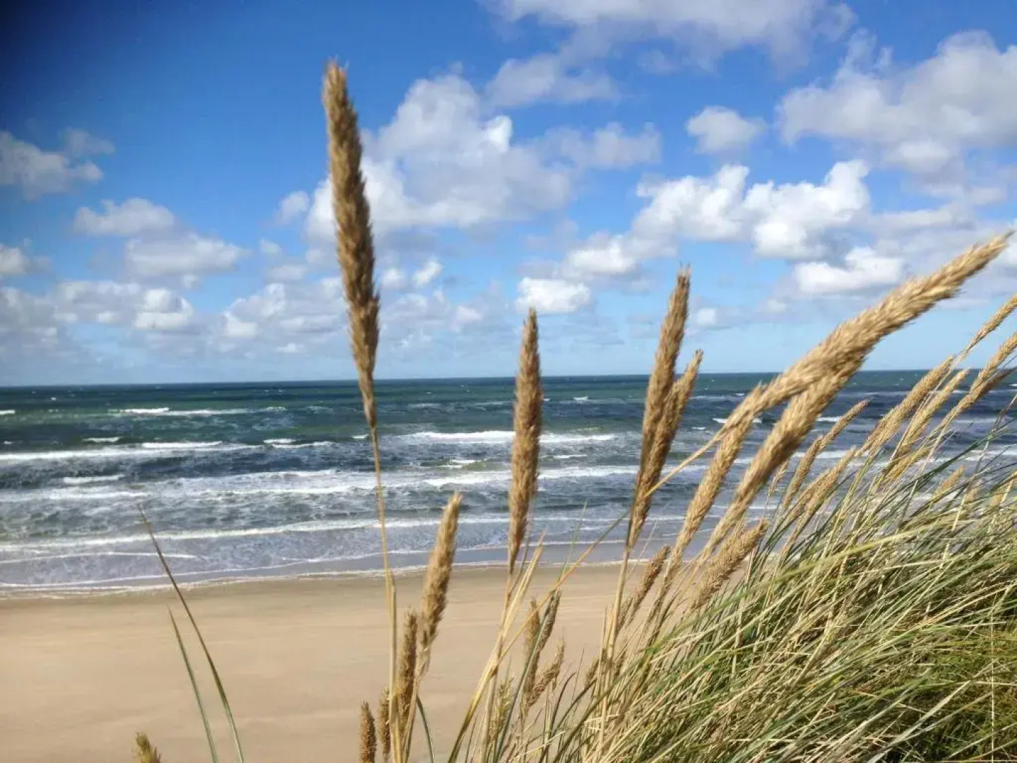 Løkken Farm Holiday