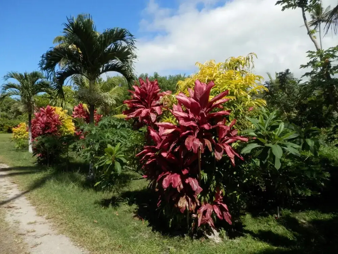 Sigasiga Sands Boutique Bungalows