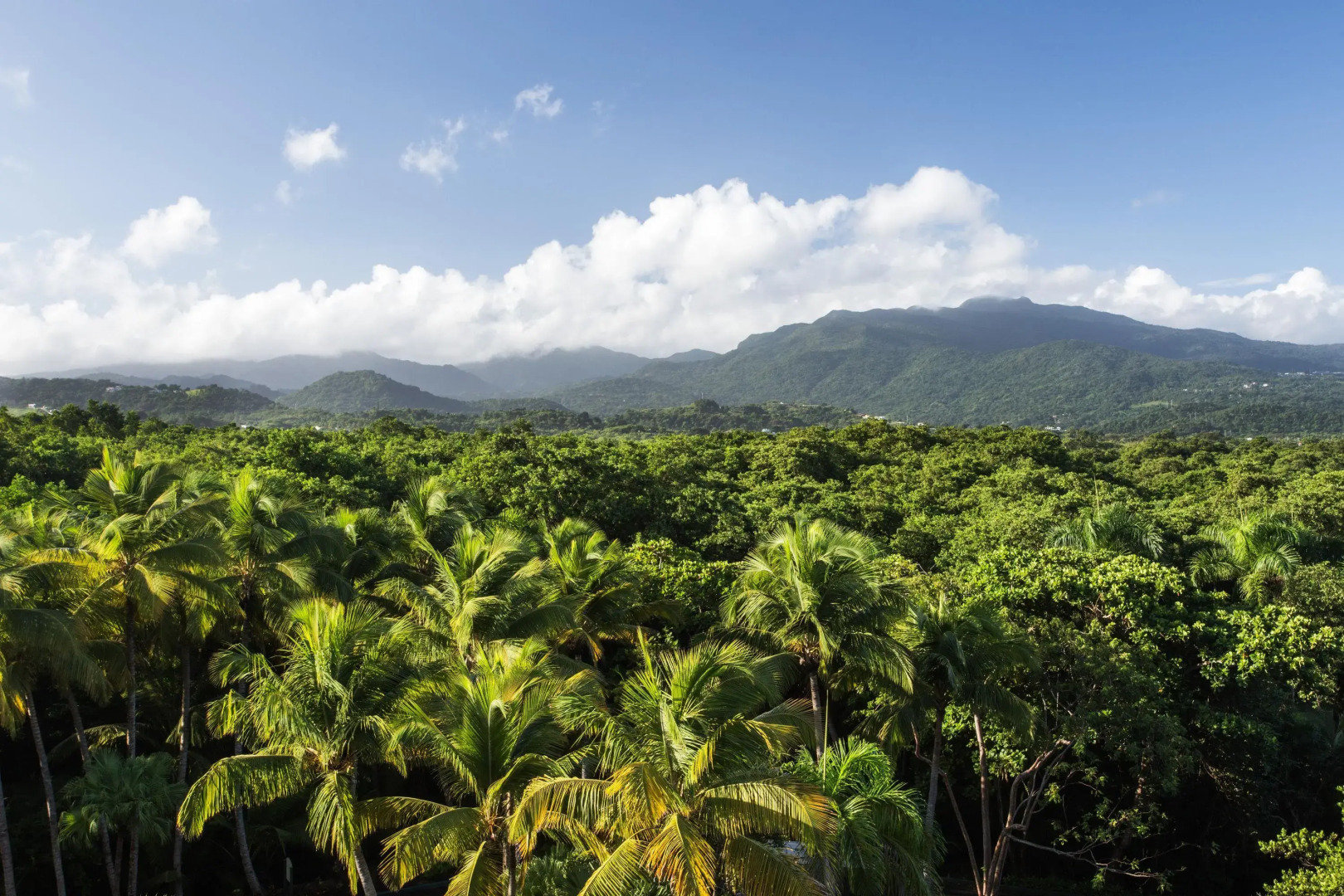 Wyndham Grand Rio Mar Rainforest Beach and Golf Resort