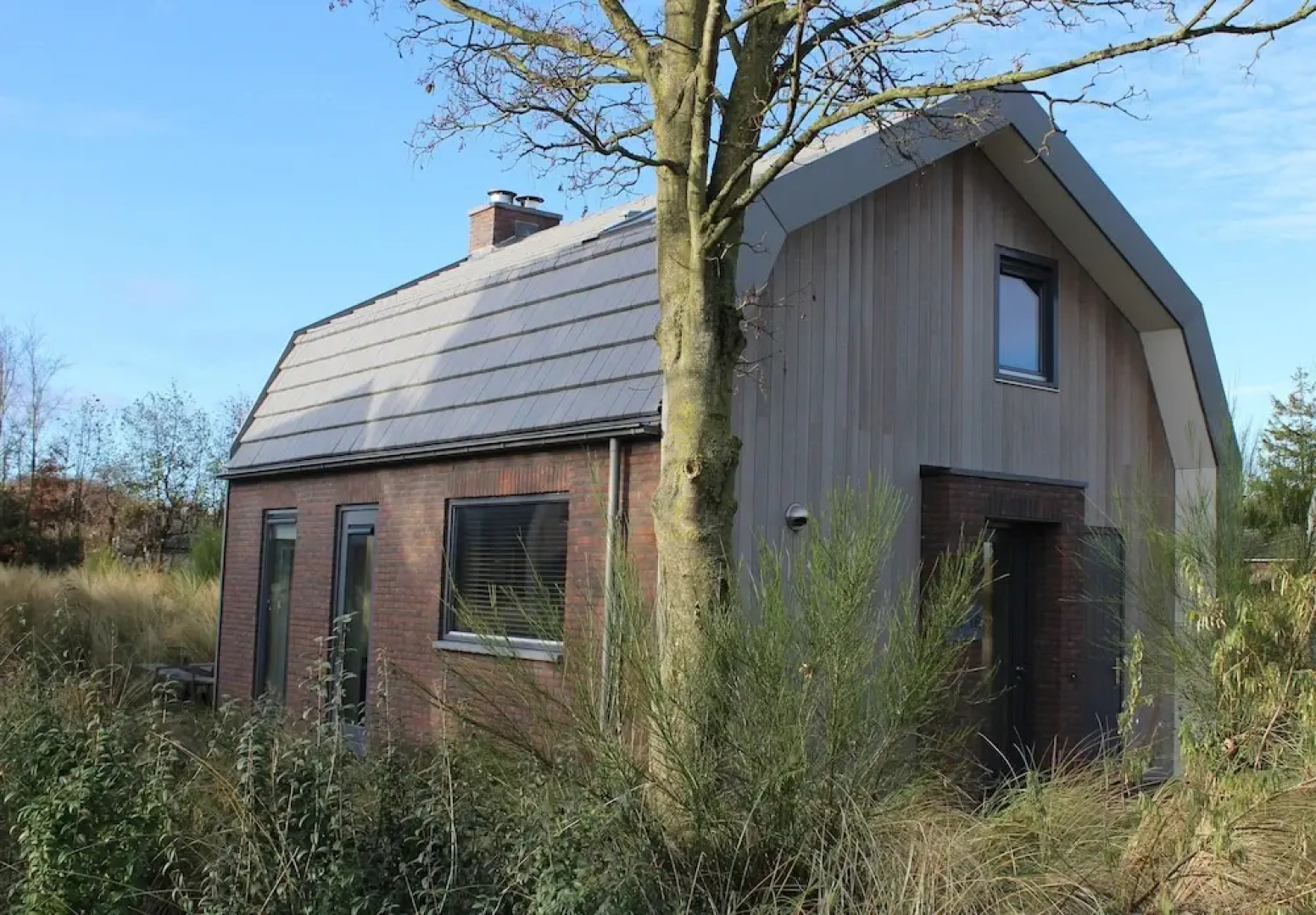 Zeester Egmond nr 15