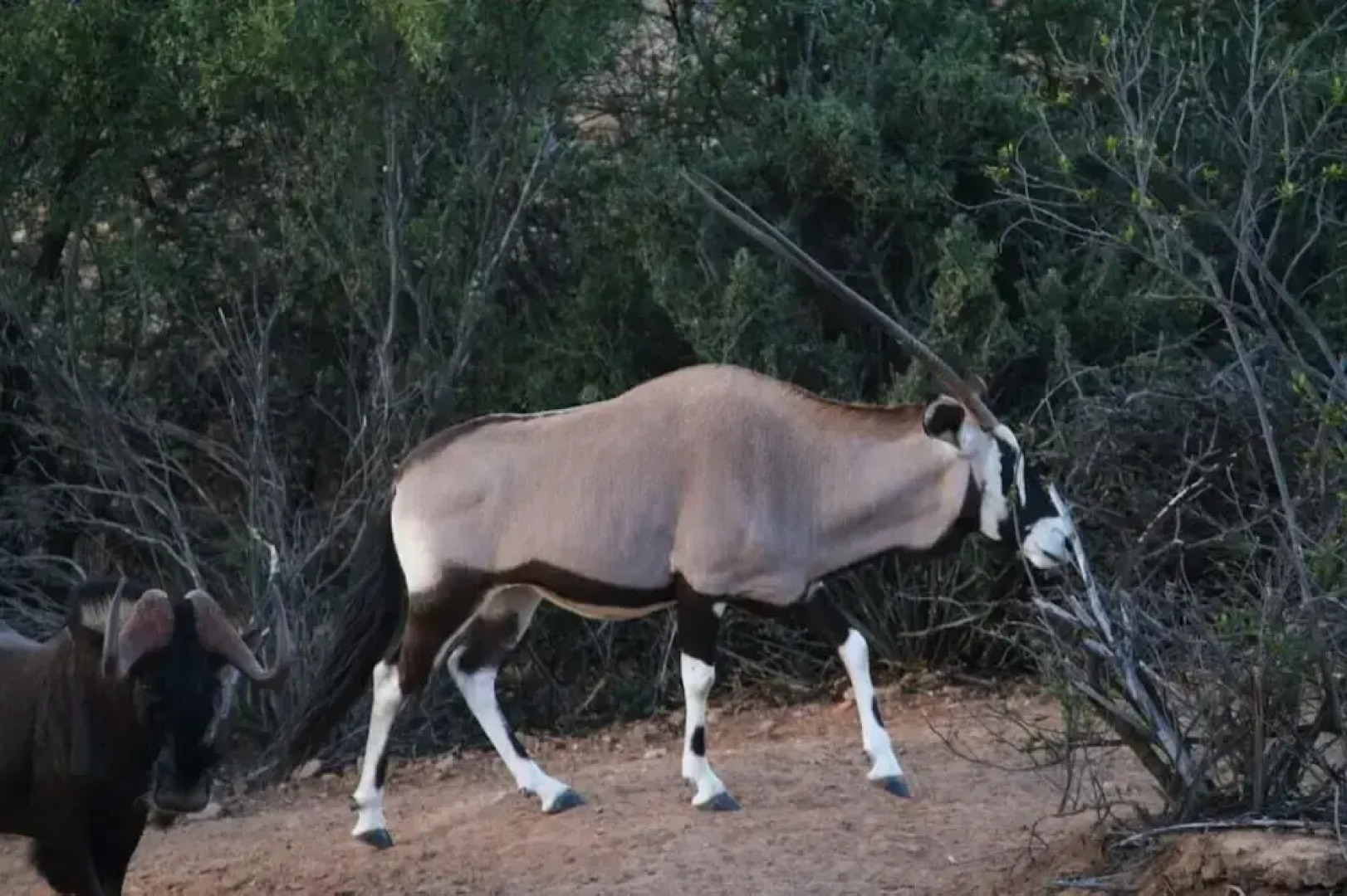 Zwartberg View Mountain Lodge