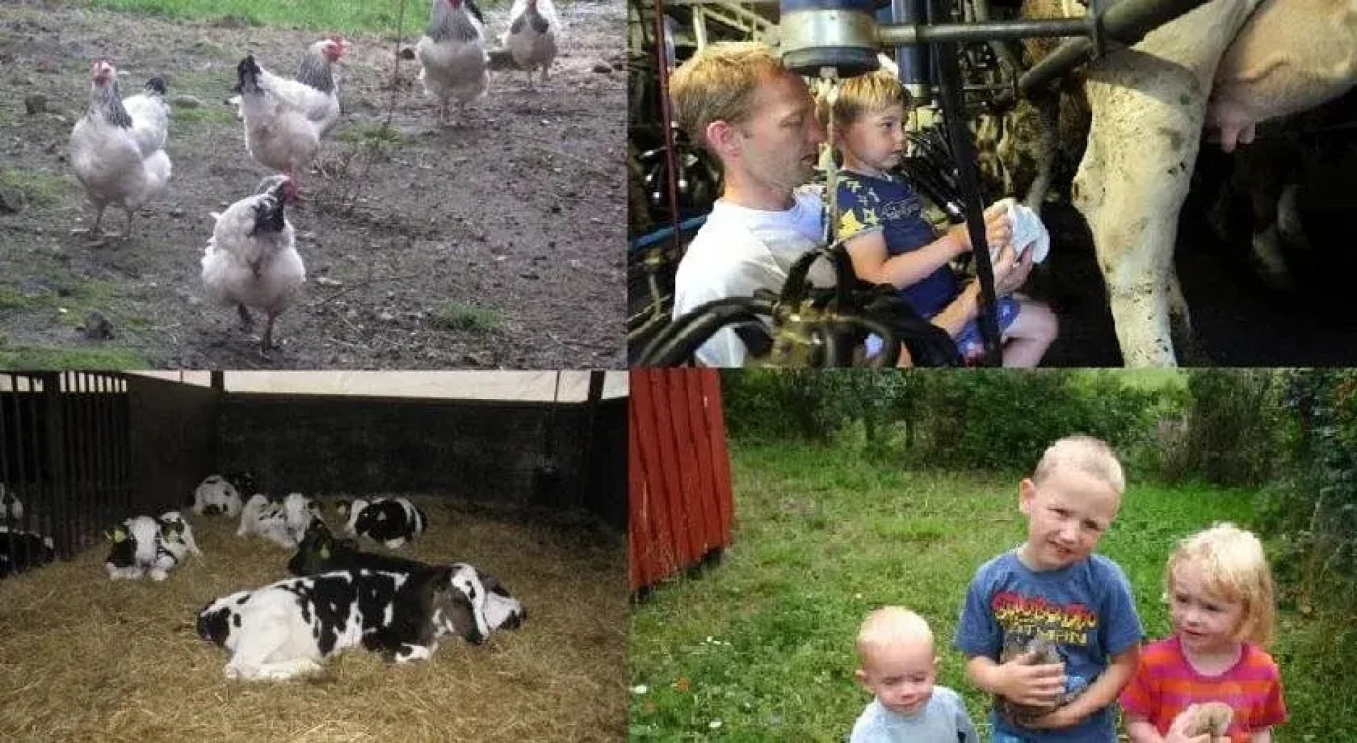 Hveddegaard Farm Holiday