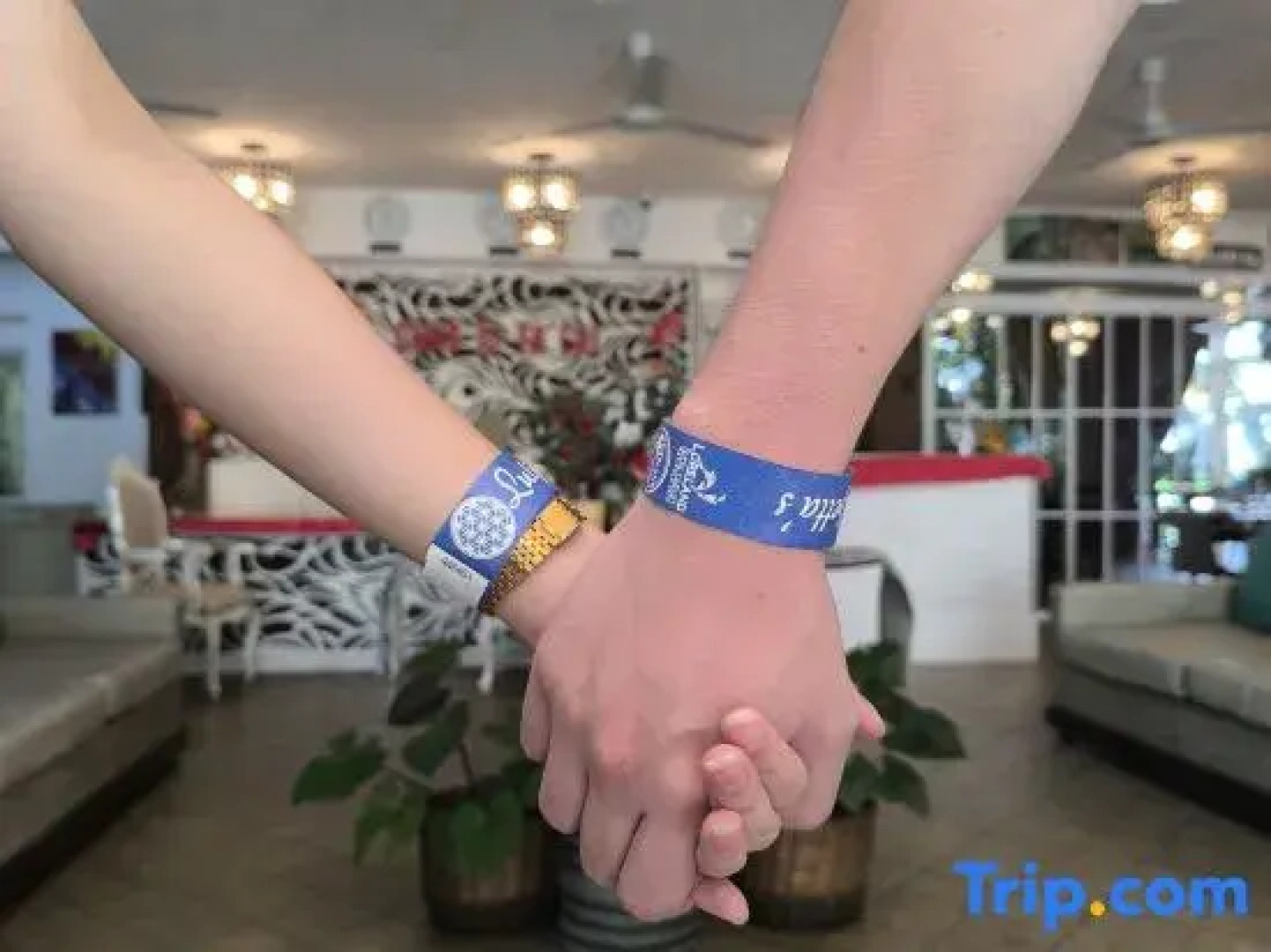 Luljettas Place Garden Suites