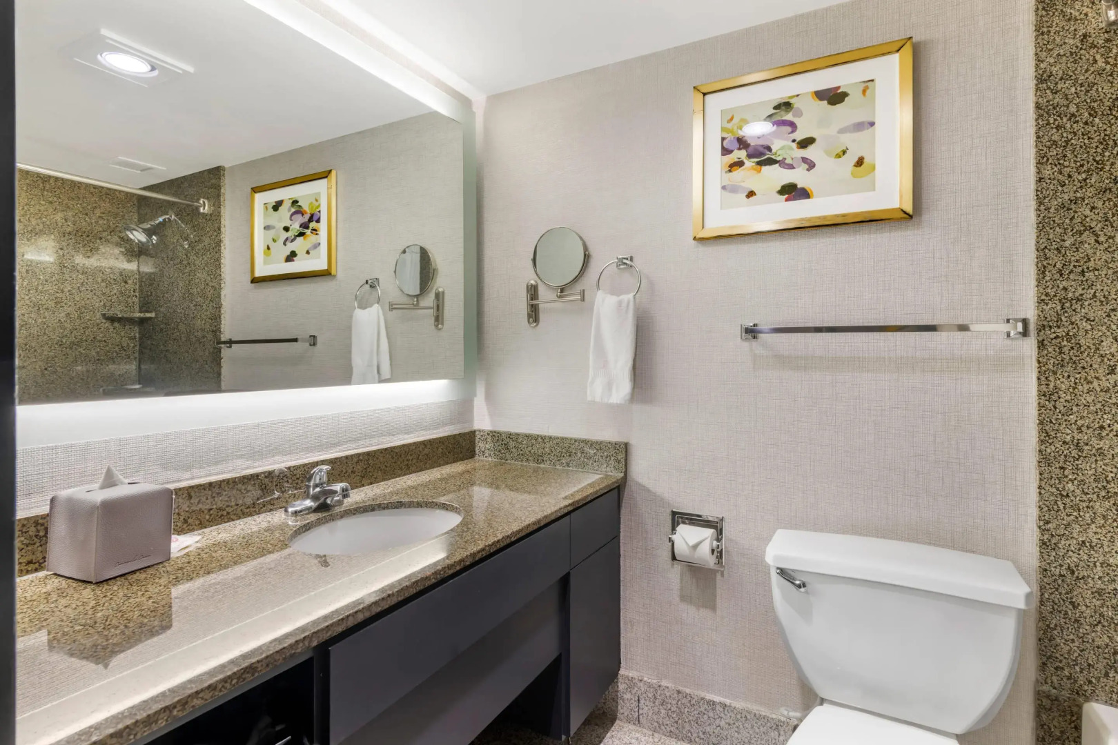 Comfort Inn Brooklyn Center