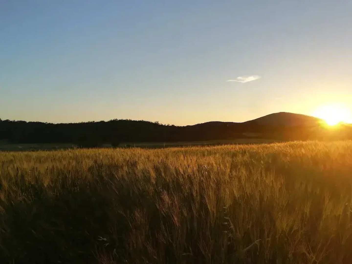 VILLA in TUSCAN MAREMMA. SEA&COUNTRYSIDE CAPALBIO Holiday home 8 BestStayz.1