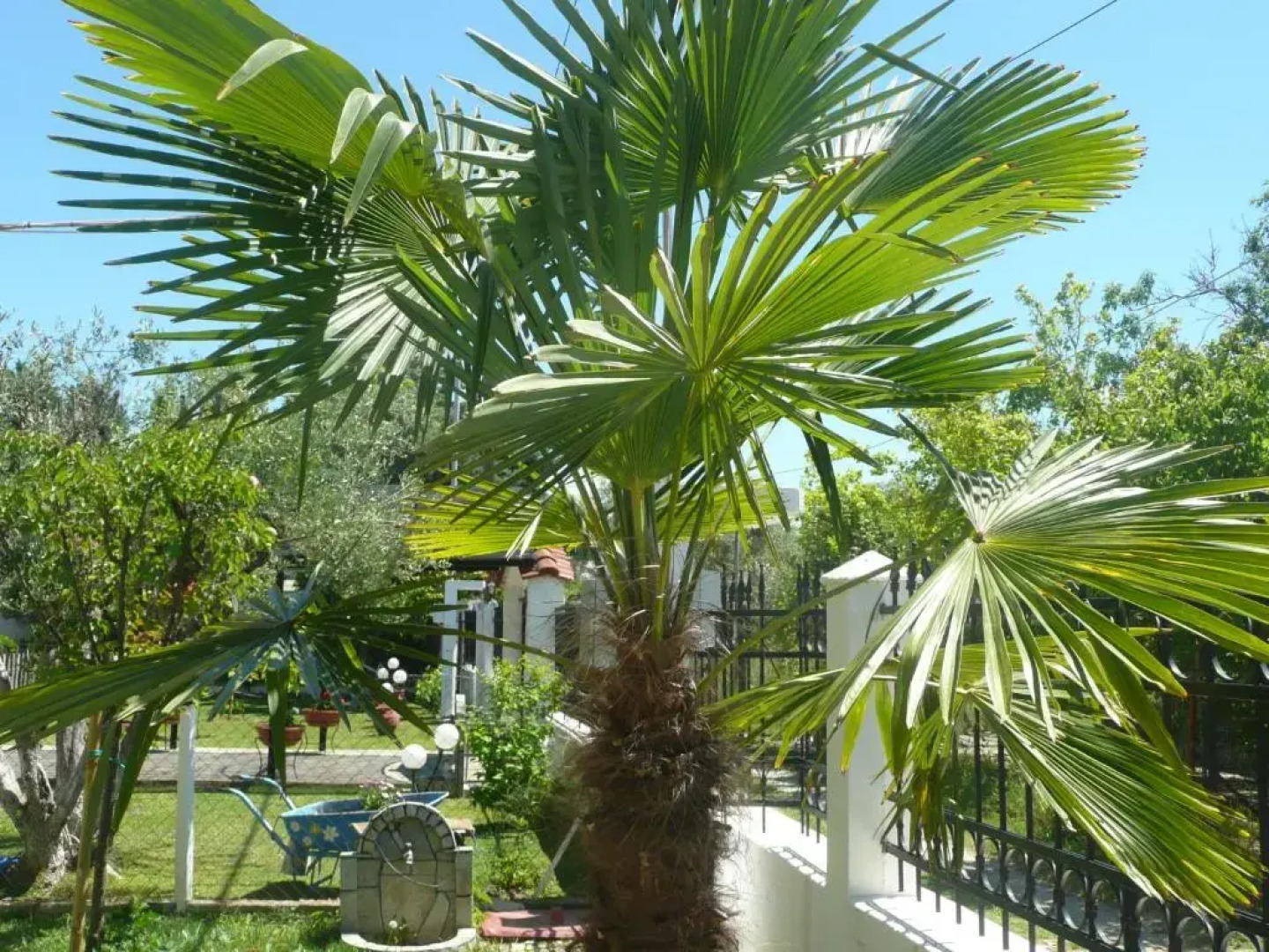 Kallikratia holiday flat 1