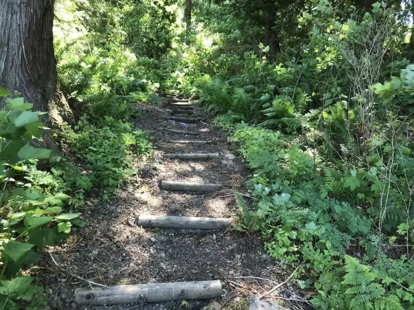 07MF - Silver Lake #7