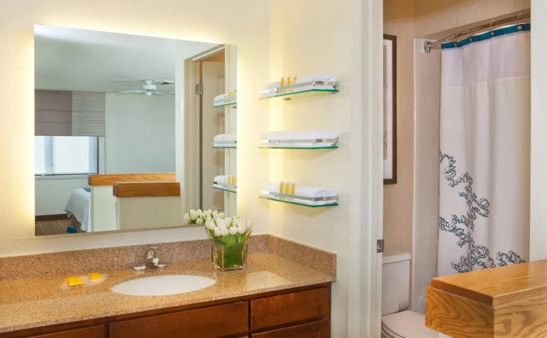 Residence Inn Tysons Corner