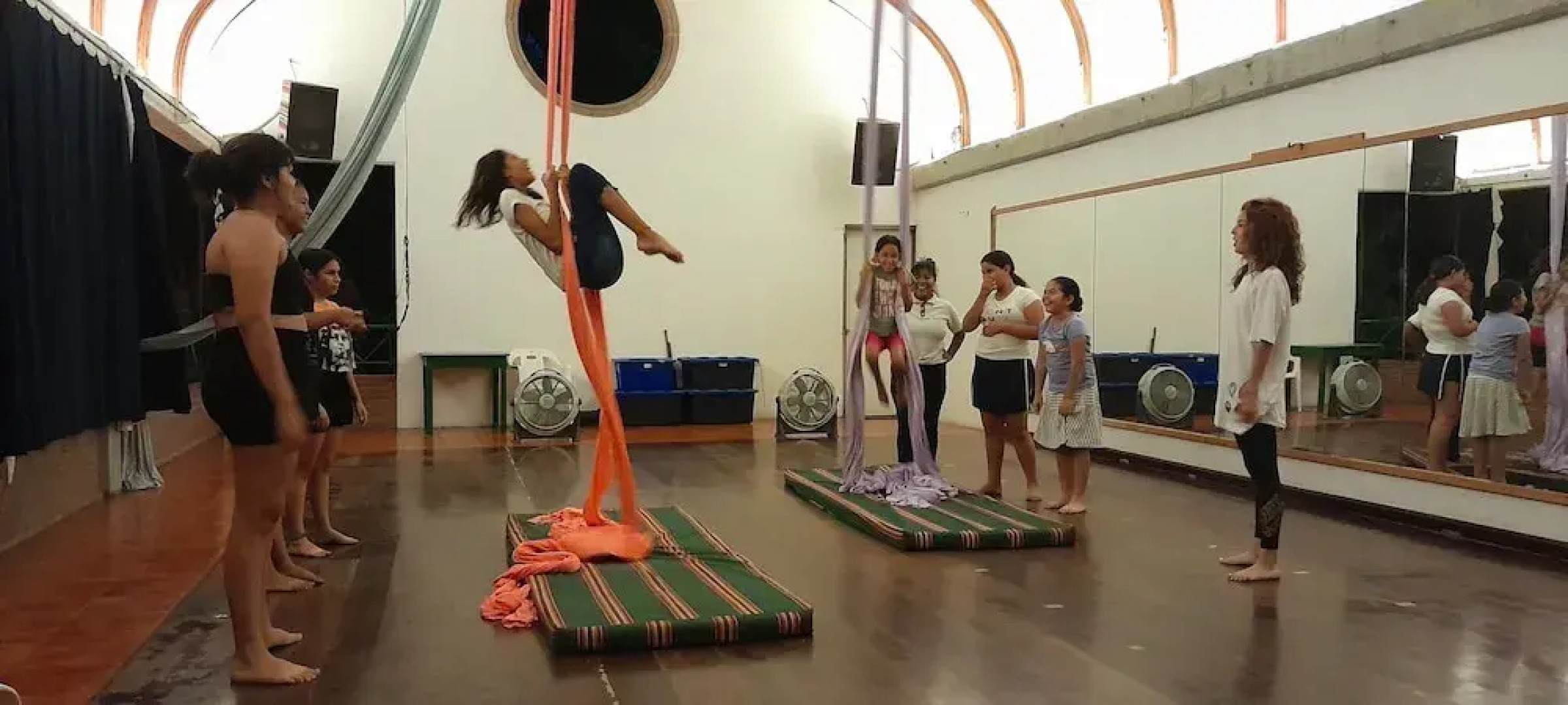 The Octopus's Garden