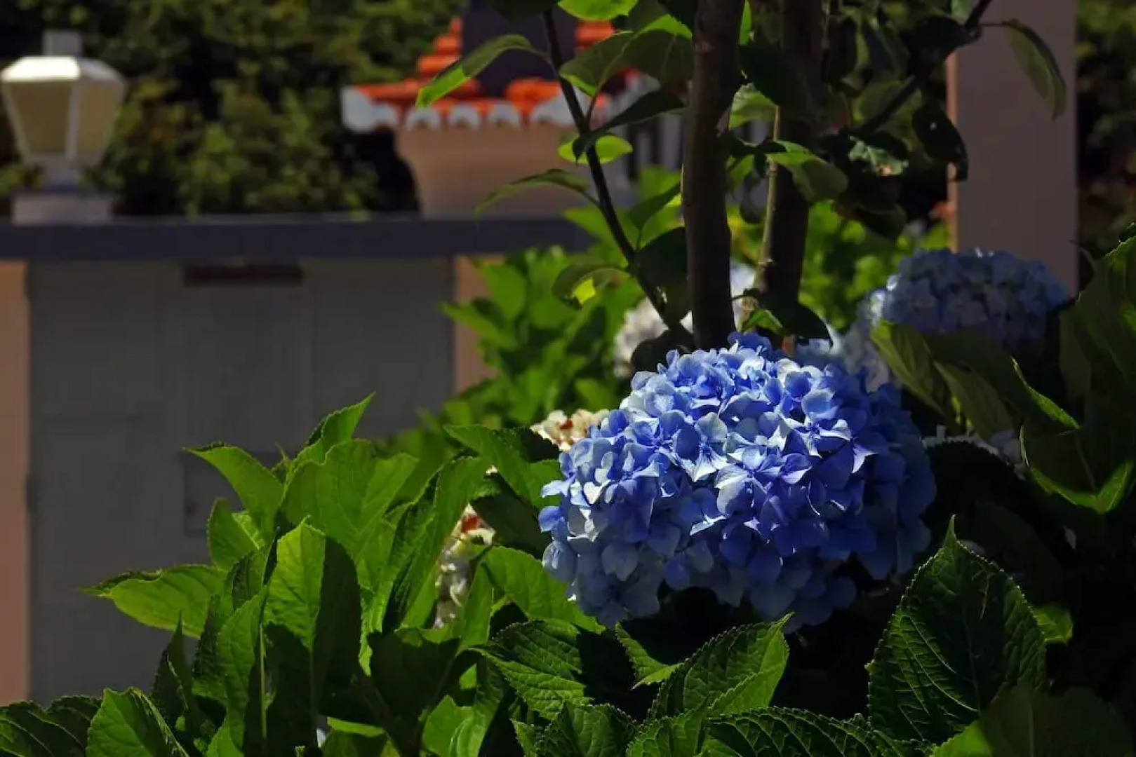 Os Manos Rural Lodging