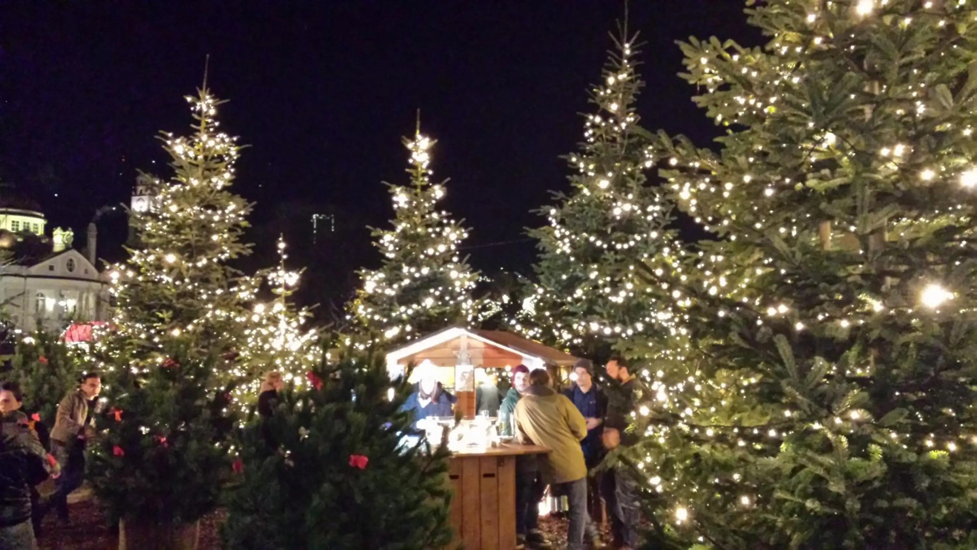 Classic Hotel Meranerhof