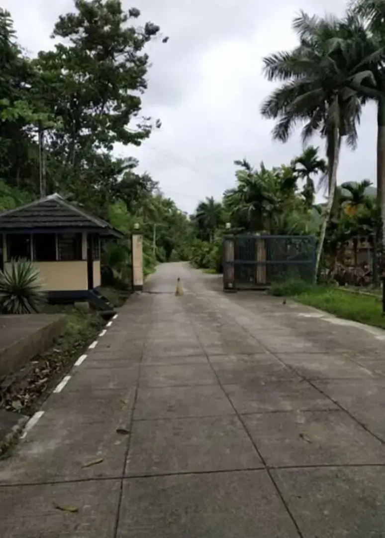 Suva Hideaway Villa