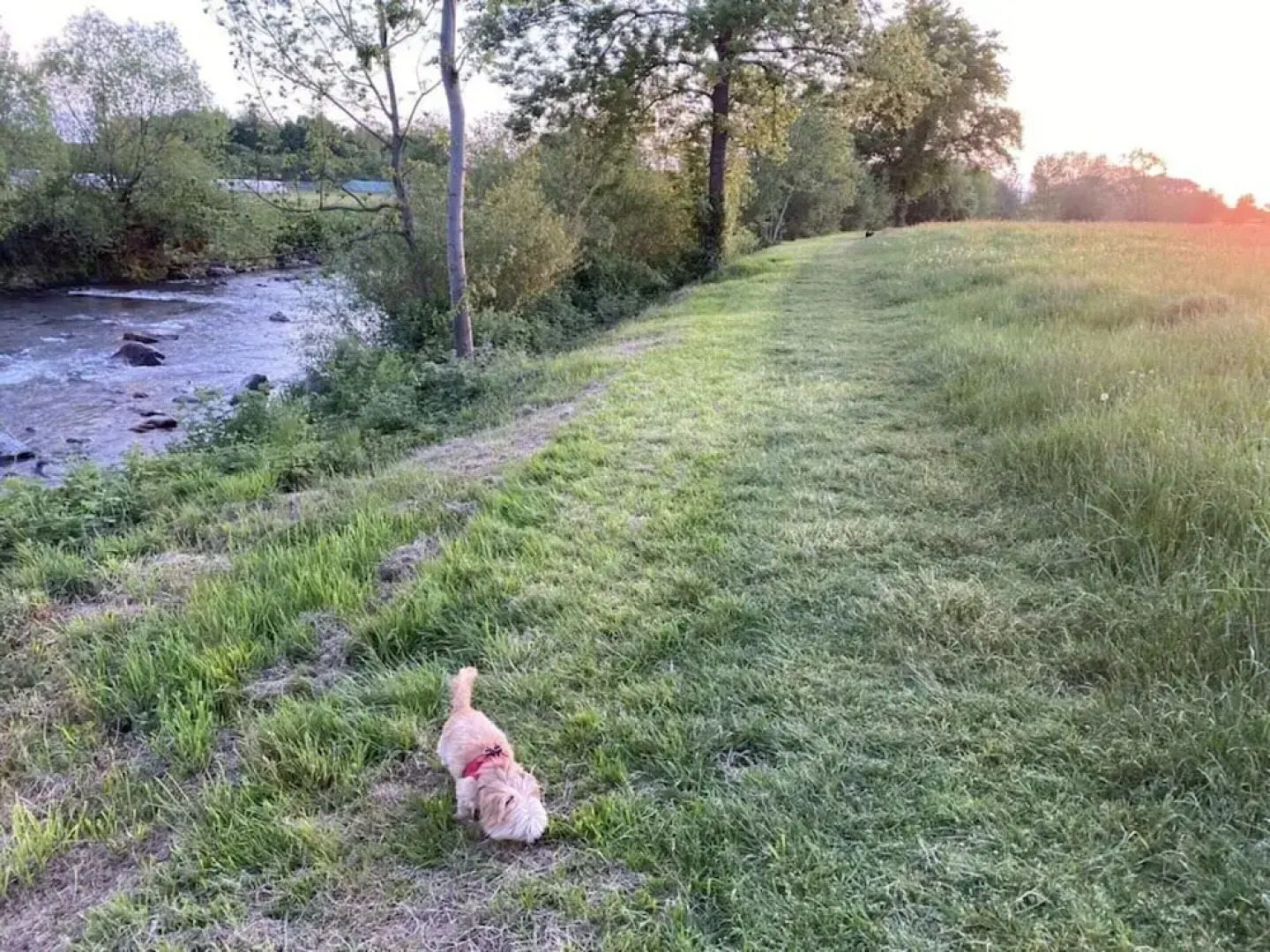 Uitzicht op het Zwembad