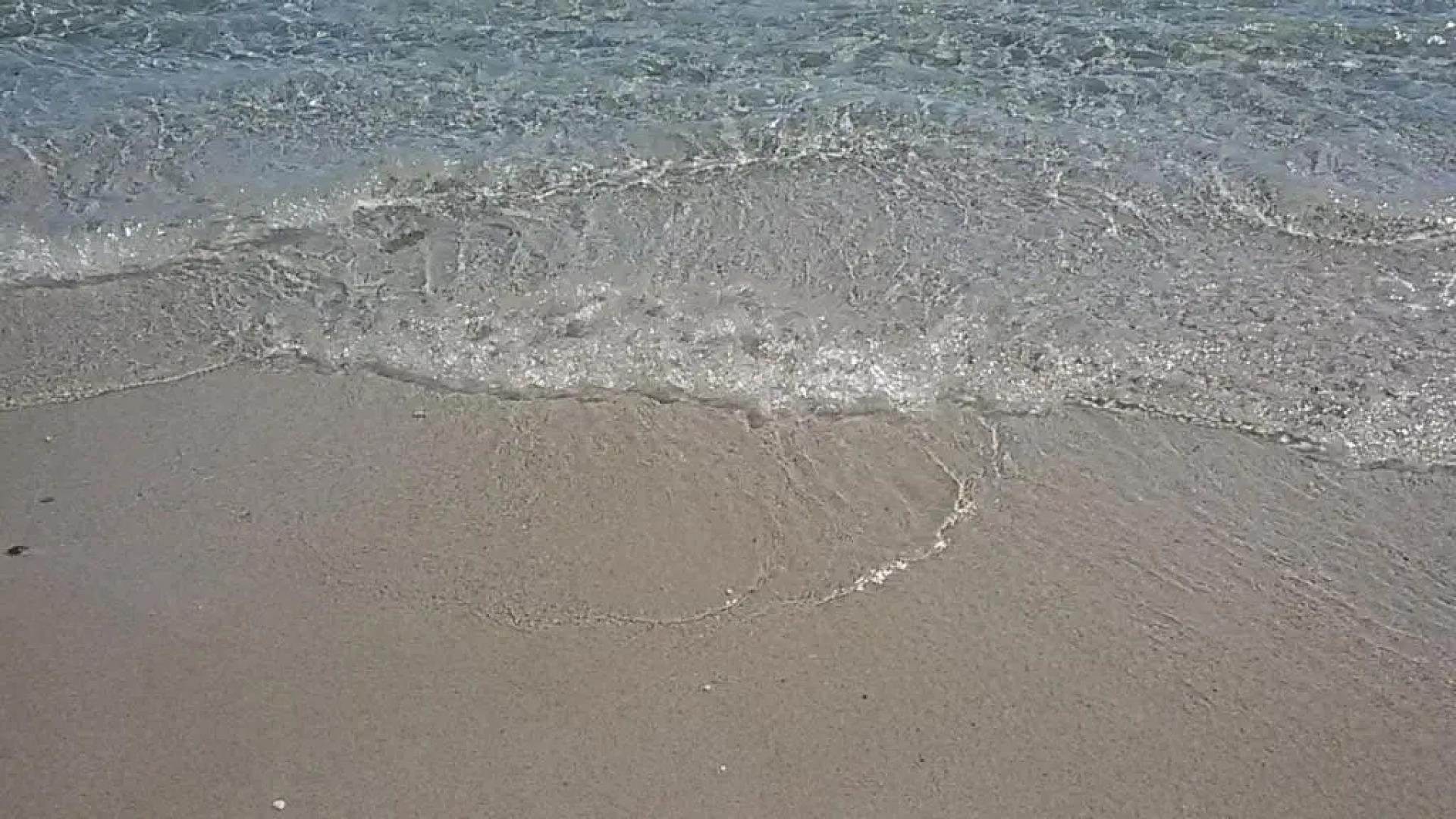 Casa vacanza autonoma immersa nel verde