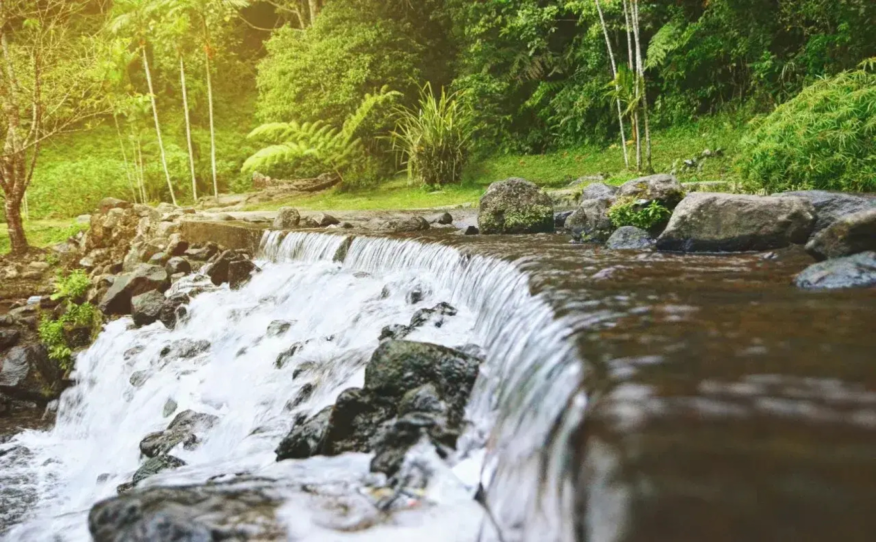 Elliottii Residence Cisarua