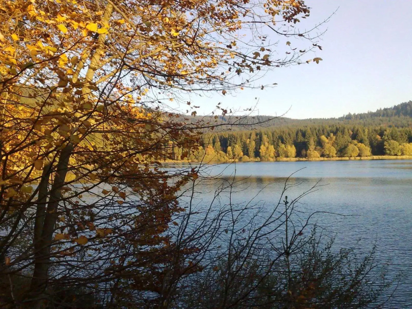 Hotel Schieferhof - GlasLUST