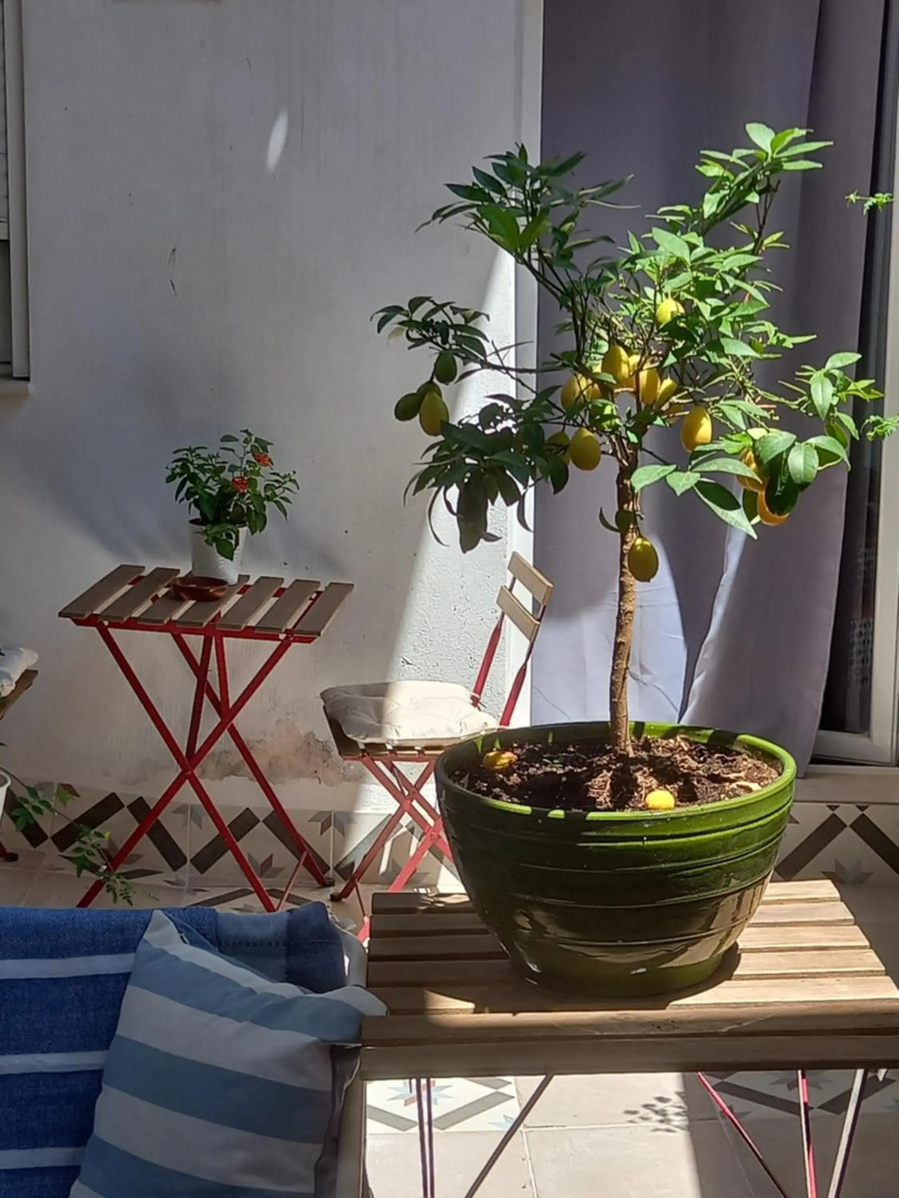 Tradicional Guesthouse Jazmines Mozarabes Casco histórico