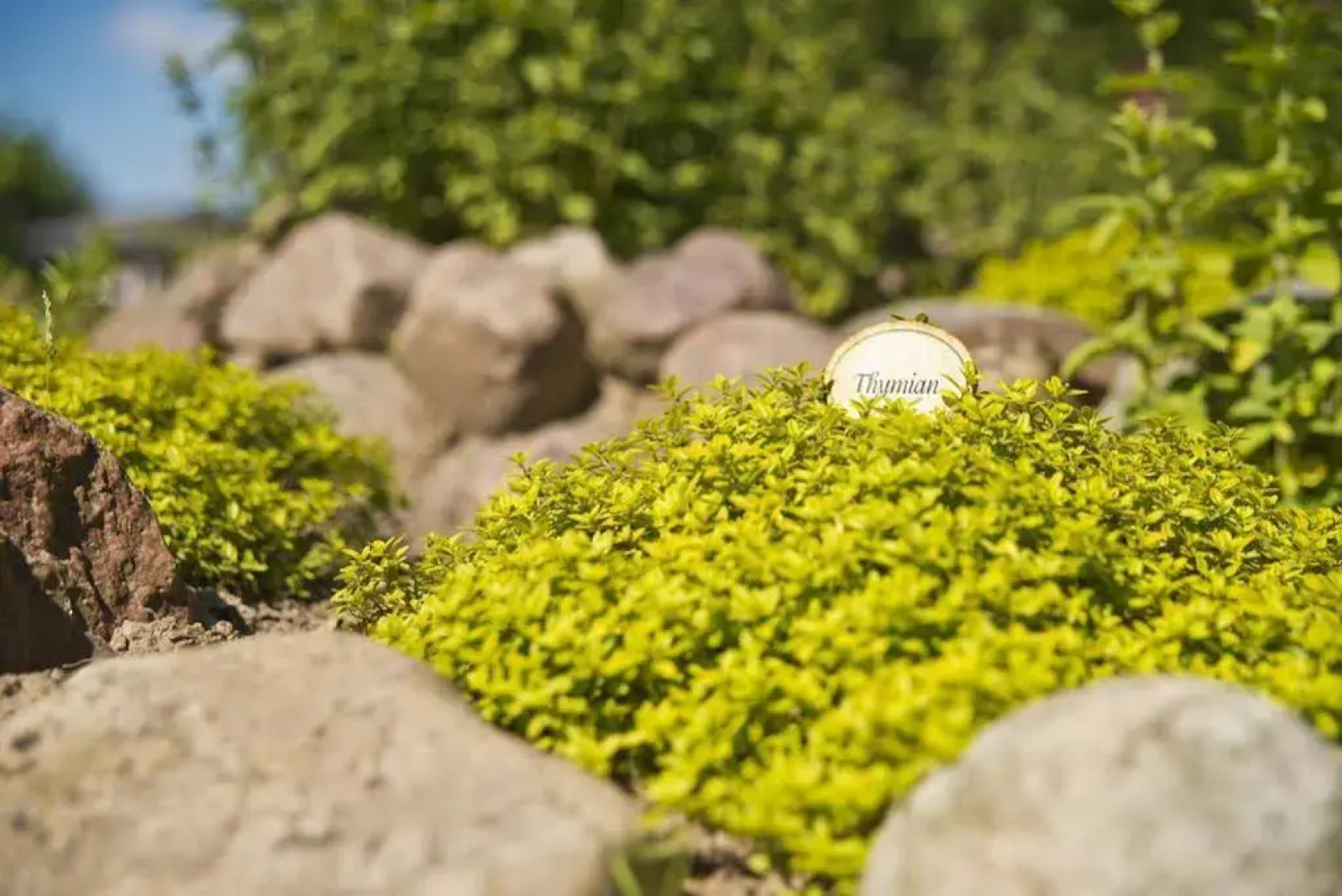 Romantik Hotel Gutshaus Ludorf