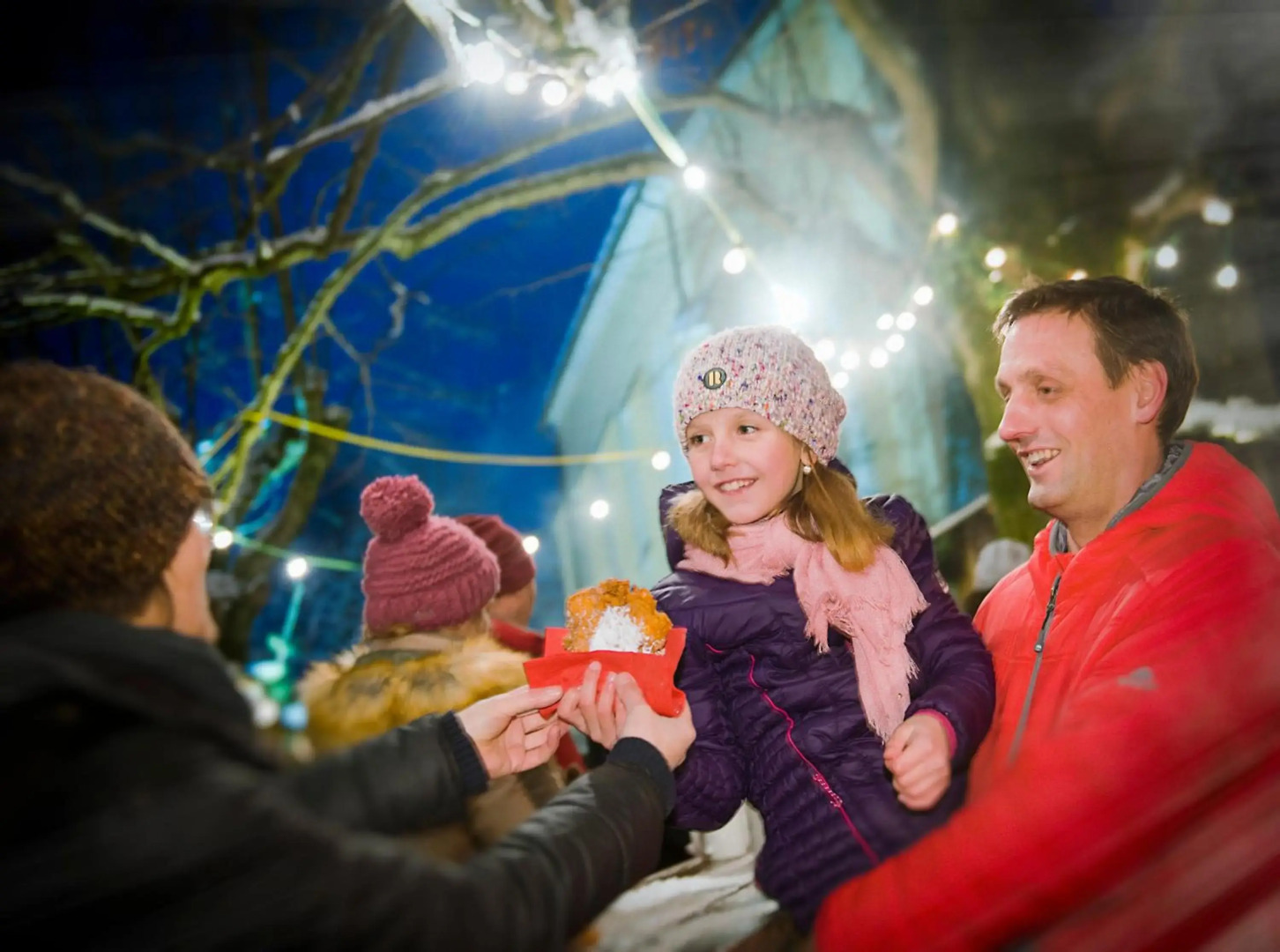 Apartment Villa Rigoletto