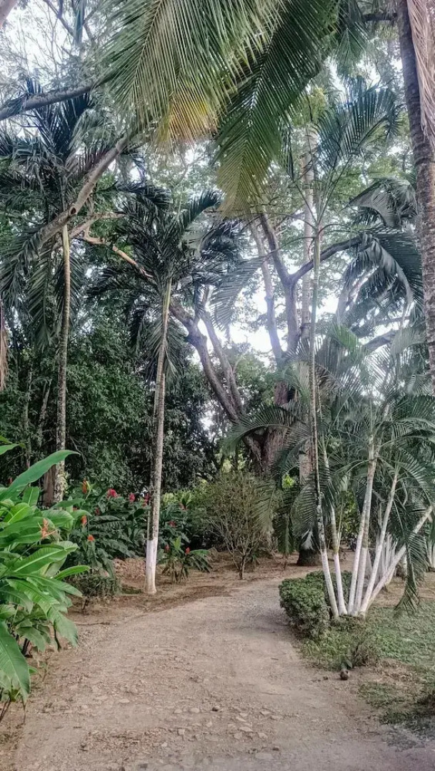 Finca Hotel La Estancia