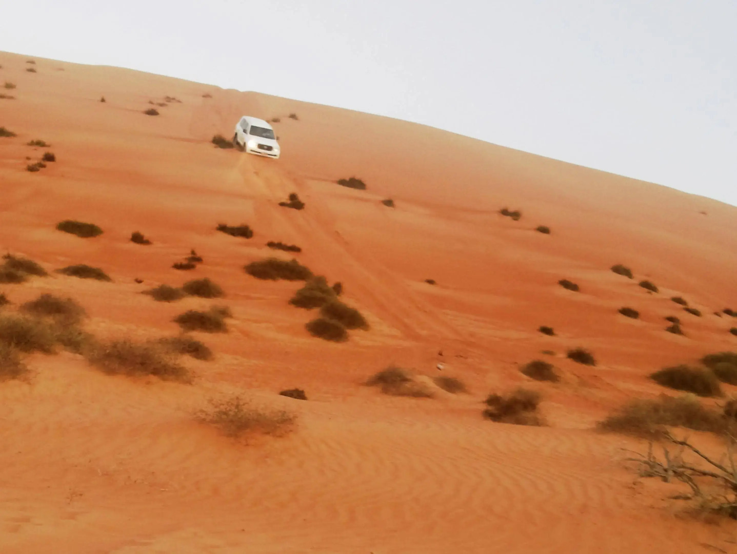 Sand Delight Desert Camp