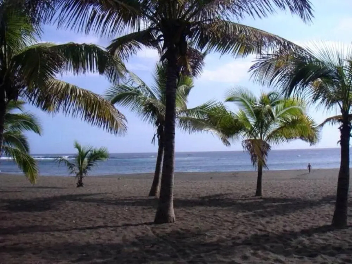 Studio in Étang Salé, With Wonderful sea View, Private Pool, Enclosed Garden