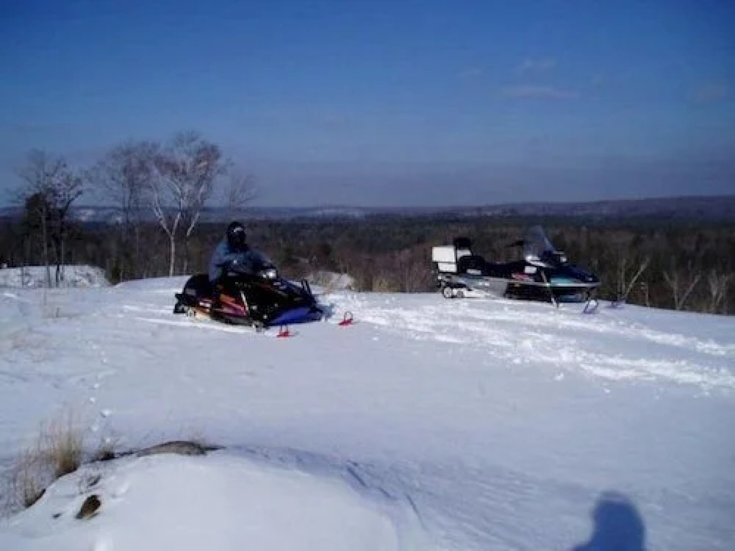 Bondi Village Resort