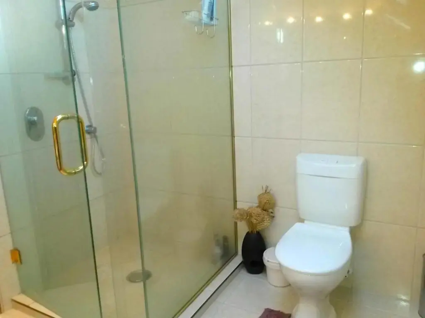 Summer Retreat - Blenheim Holiday Home