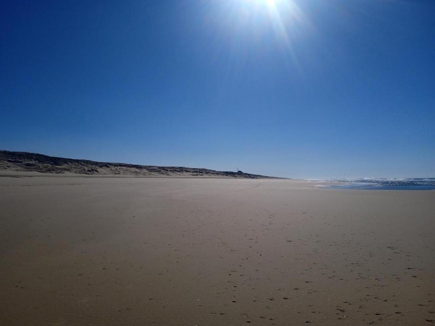 Charmante maison Landaise