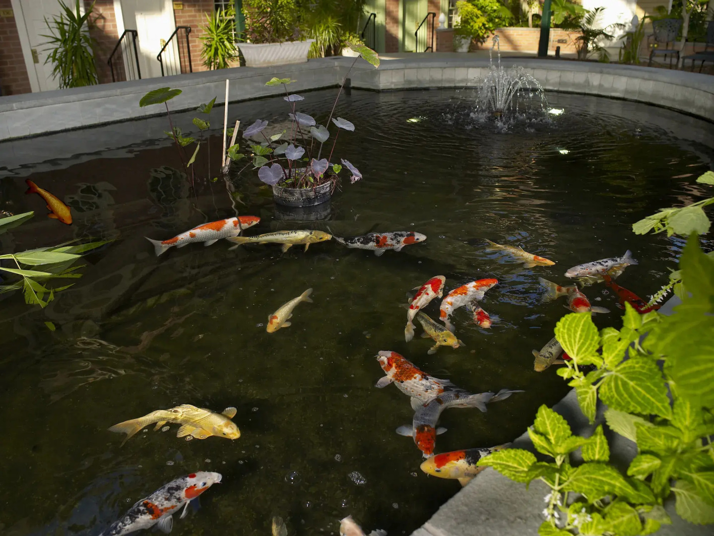 Crowne Plaza Albany - The Desmond Hotel by IHG