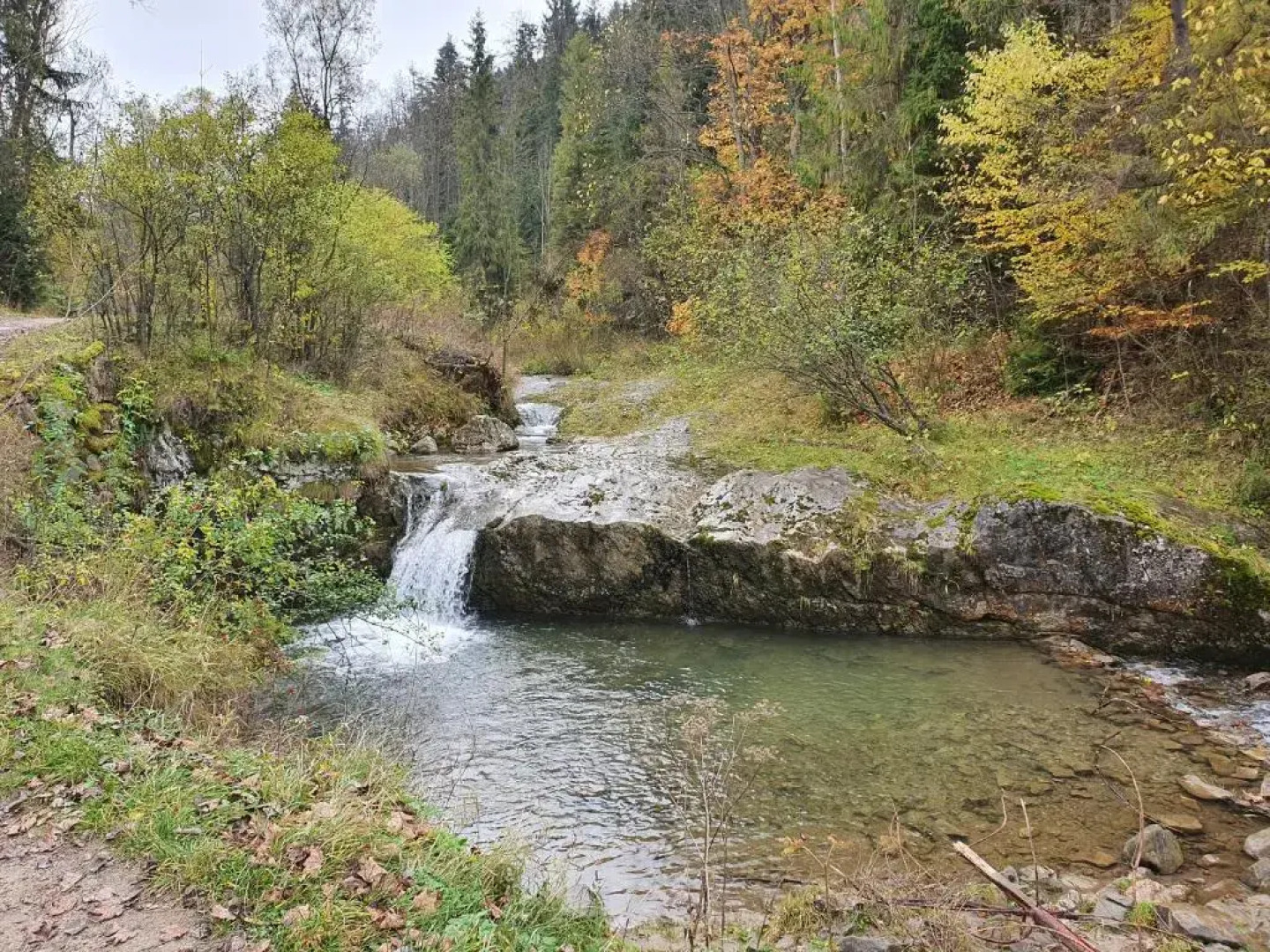 Apartament Homole E6