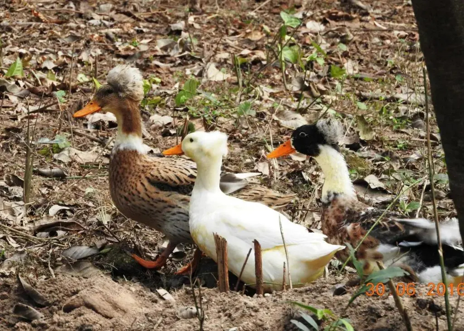 Pousada Famiglia Bartho