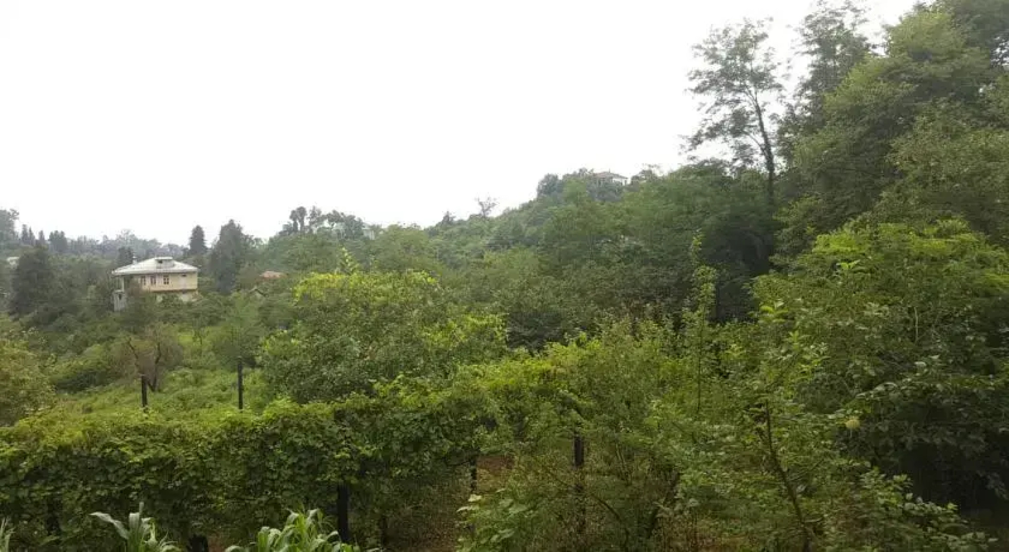 Bambarbia Guesthouse