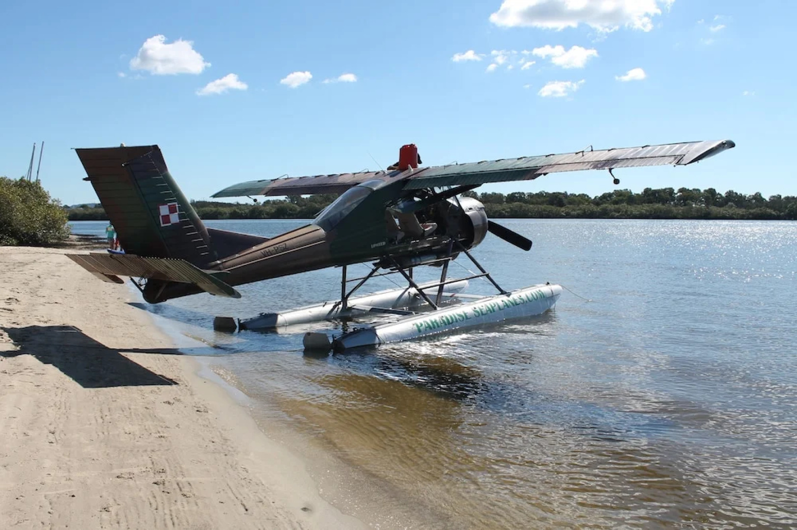 The Dunes Cotton Tree