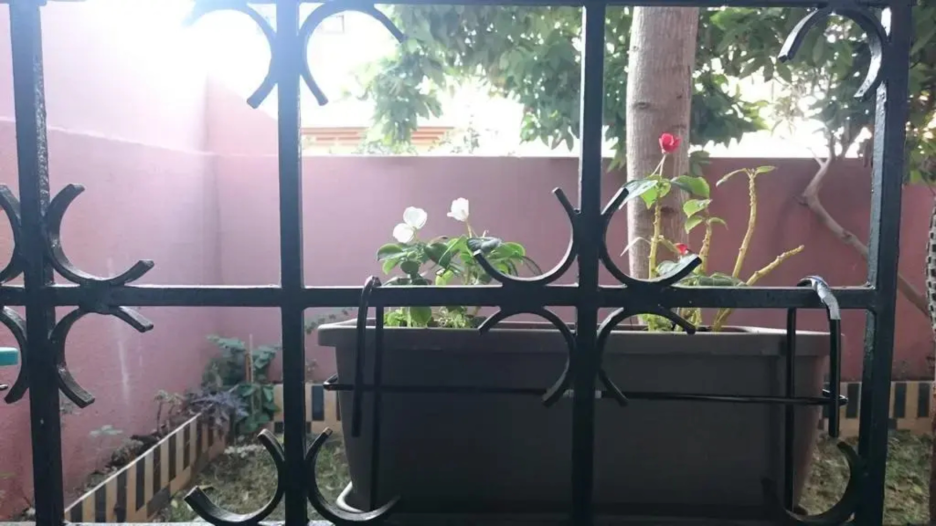 Artistica Suite - La Colline