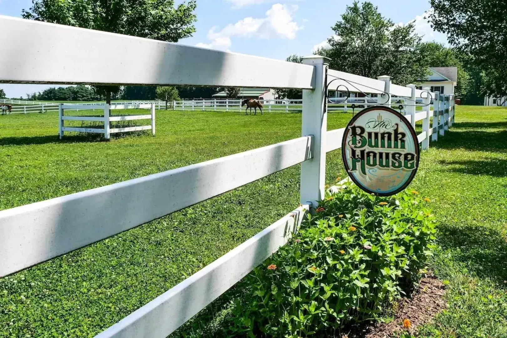 Renovated Bunkhouse on 12-acre Horse Farm!