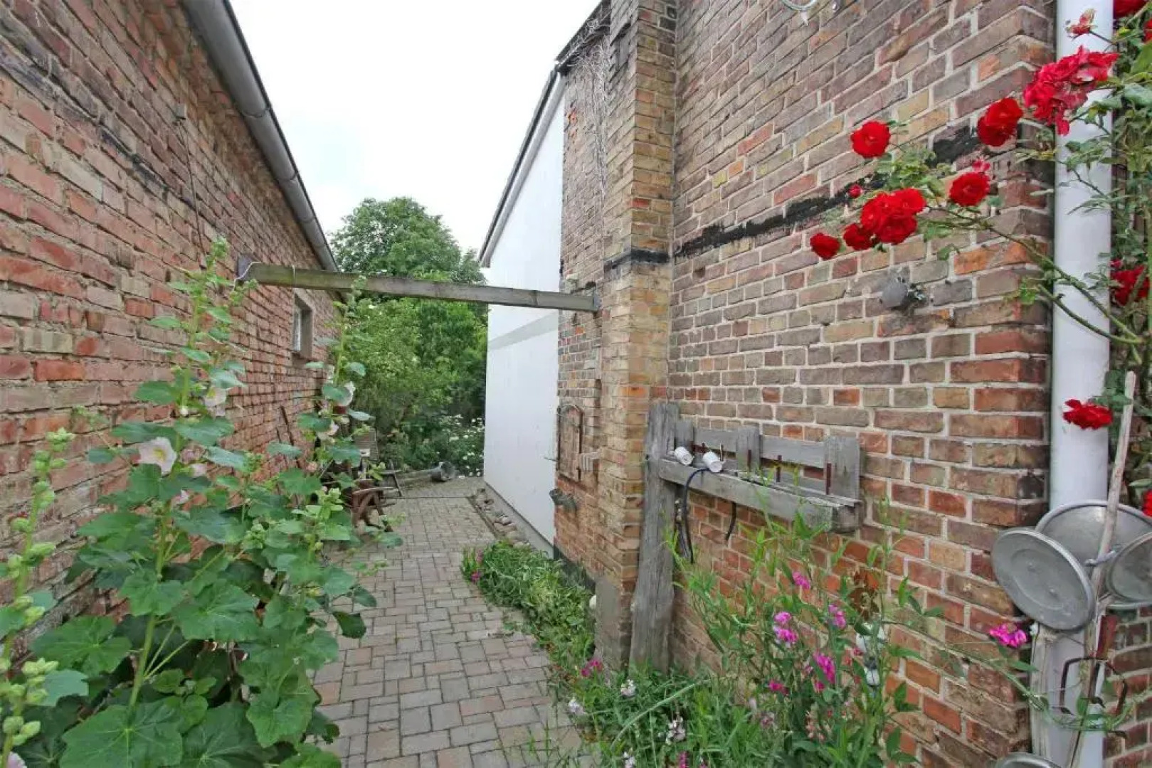 Ferienhaus Ribnitz FDZ 671