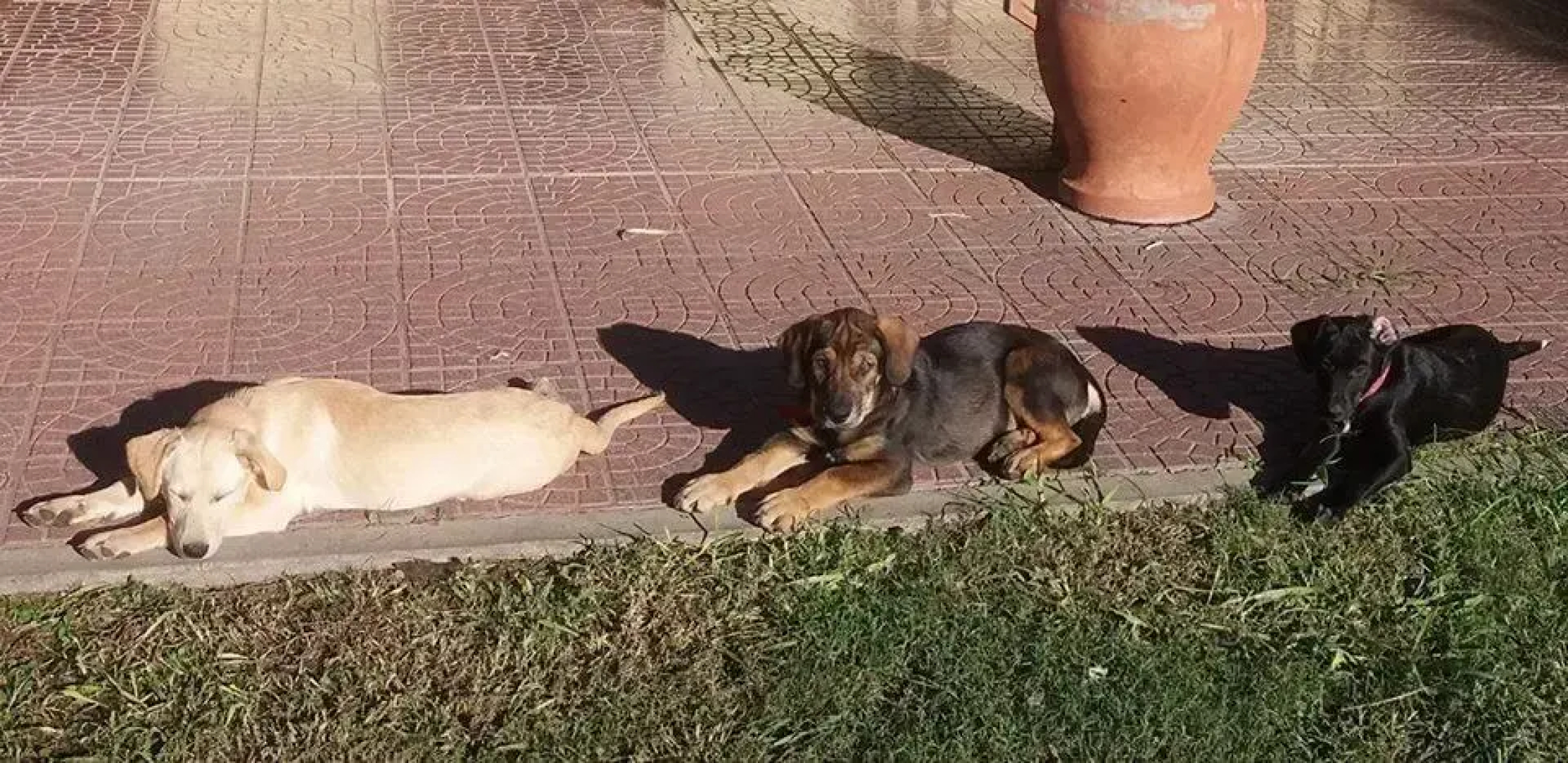 La Perdida Casa de Campo