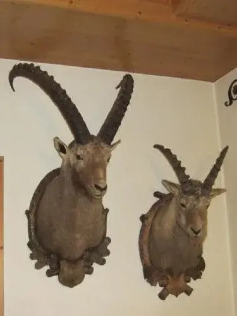 Wirtshaus zum Wiesejaggl