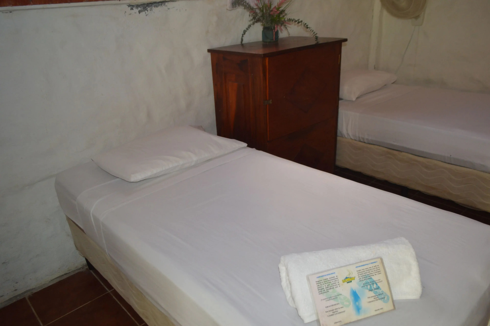 Somar Surf camp & Lodge