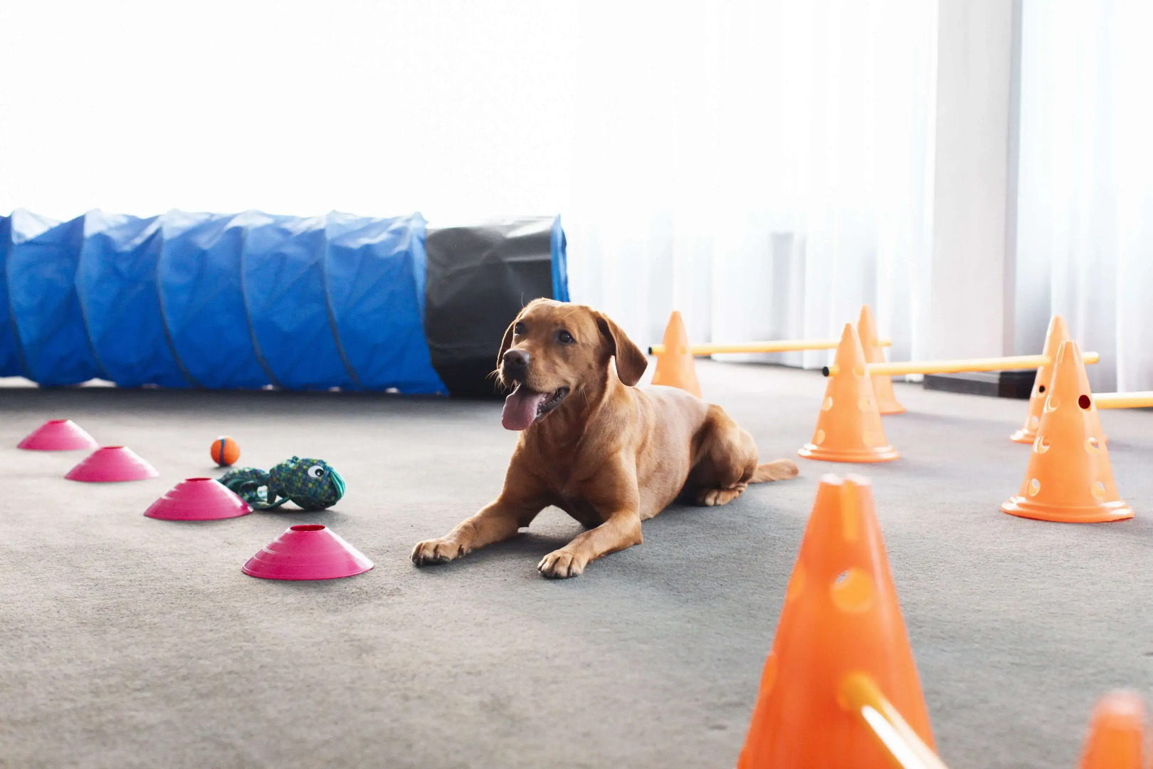 Radisson Blu Arlandia Hotel