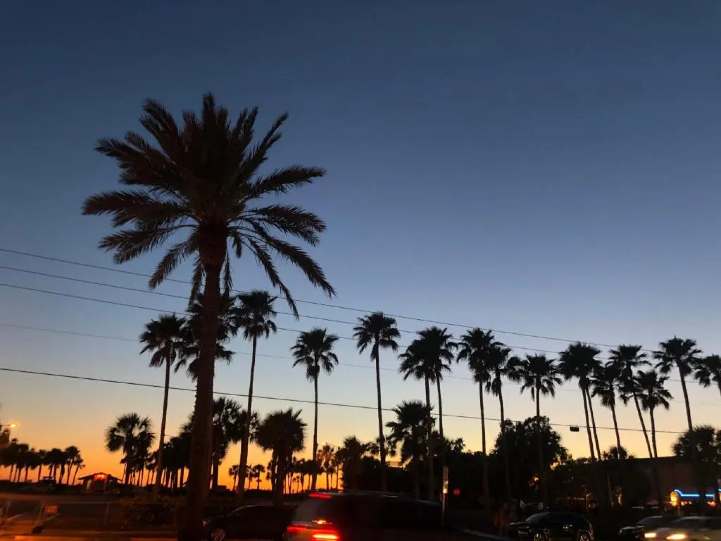 227 Surf Song Resort