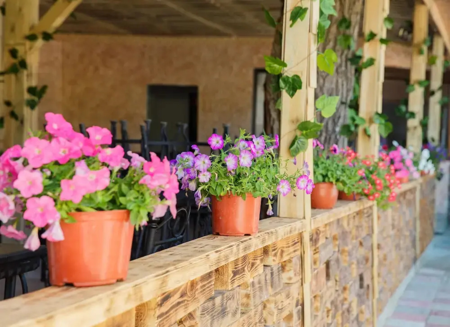 Гостевой дом «Магдалена»